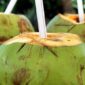 4. Air kelapa segar: minuman favorit anak saat diare yang efektif jaga keseimbangan cairan tubuh.. (Pixabay.com /Gadini)